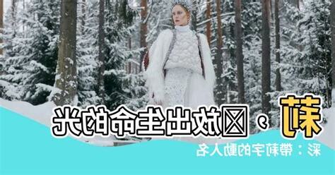 莉 名字